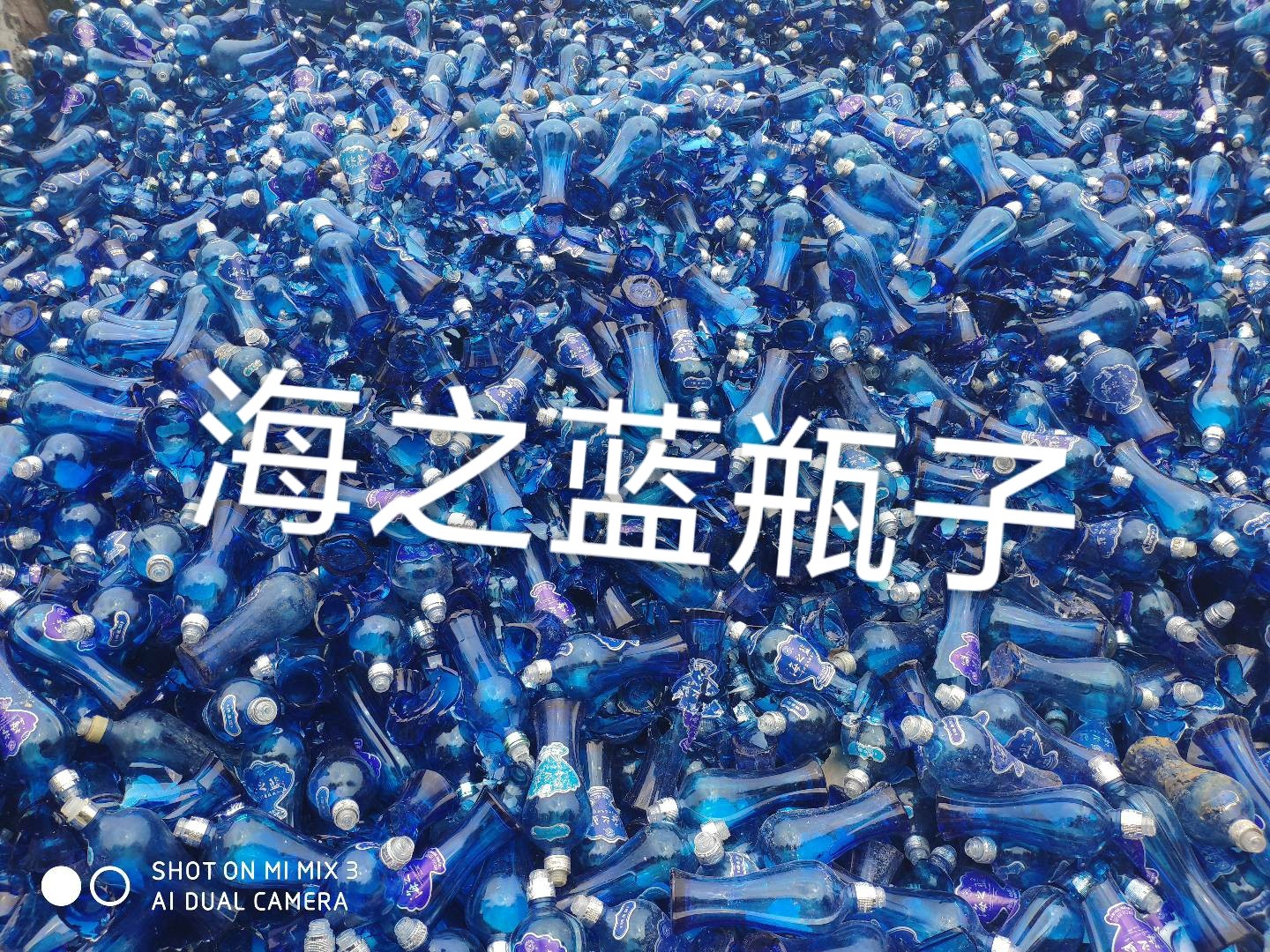 京口区海之蓝瓶回收